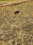 IMG_2227.jpg