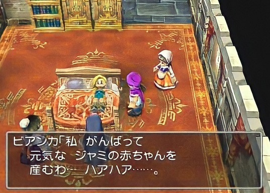 何度でも言うが俺は小学生の頃からフローラ派 二代目格ゲー雑記